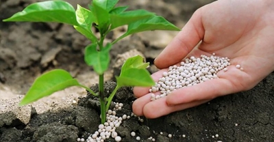 uploads/images/prod-cat/organic manure.jpg